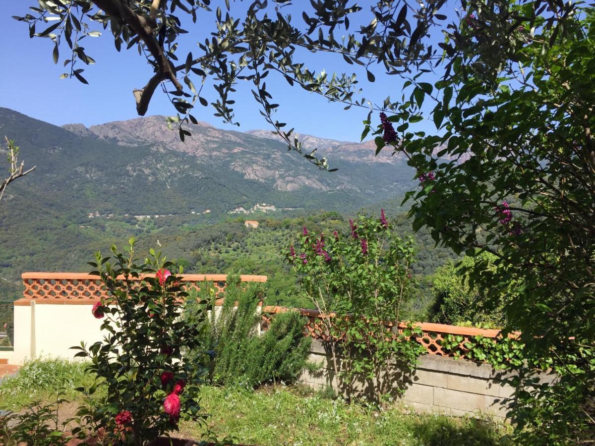 Apartament Casa Nepita Sur Vue Grandiose Santa-Lucia-di-Tallano Zewnętrze zdjęcie
