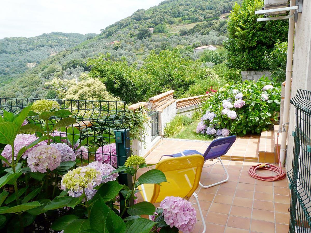 Apartament Casa Nepita Sur Vue Grandiose Santa-Lucia-di-Tallano Zewnętrze zdjęcie